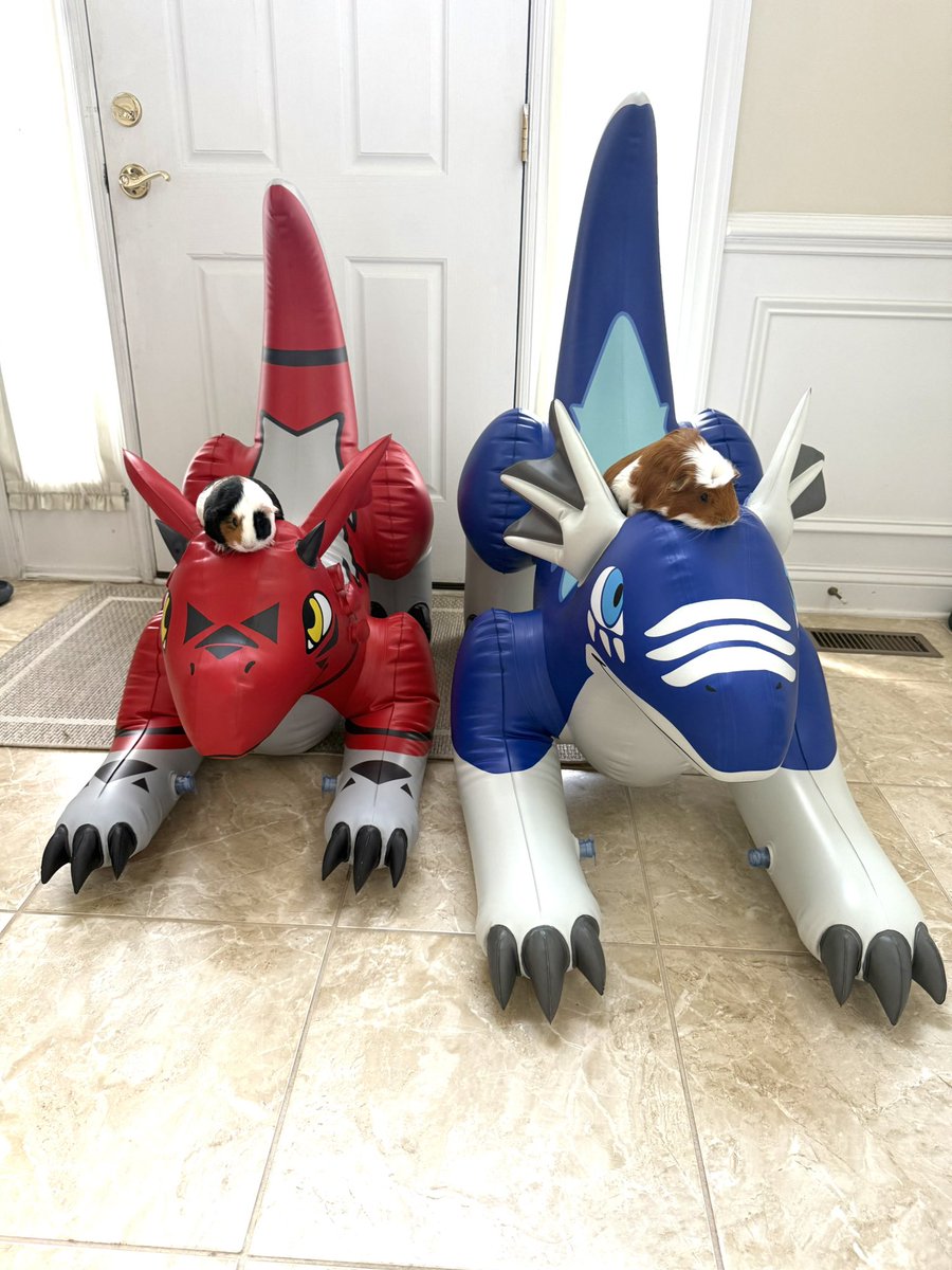 JetCreations's tweet image. ✨ Mini Blue &amp;amp; Red Dragons had the BEST time this weekend making new friends at a house hangout! 🎉
👉 Explore more at: jetcreations.com/collections/jc…
#JetCreations #InflatableFun #Dragons #Collectibles #Toys #PartyVibes #HomeDecor #DragonLovers