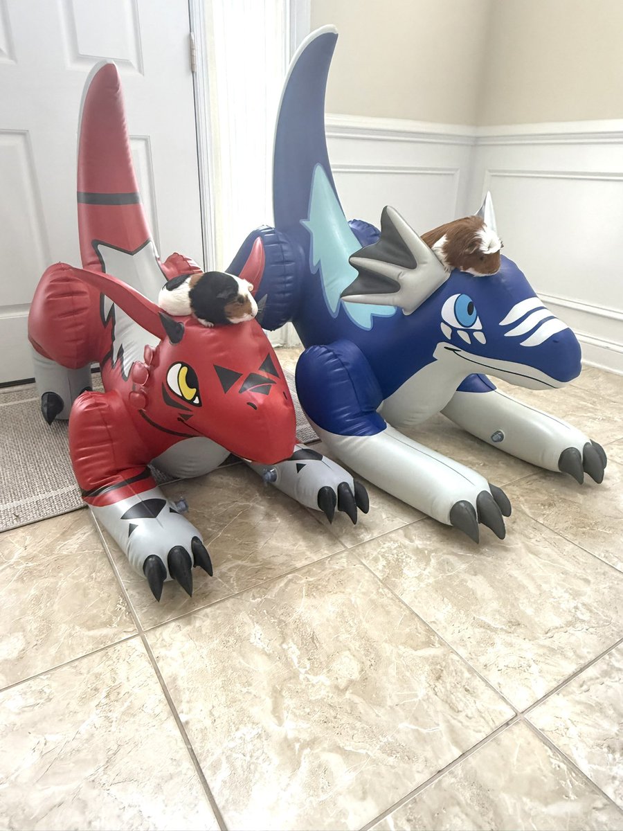 JetCreations's tweet image. ✨ Mini Blue &amp;amp; Red Dragons had the BEST time this weekend making new friends at a house hangout! 🎉
👉 Explore more at: jetcreations.com/collections/jc…
#JetCreations #InflatableFun #Dragons #Collectibles #Toys #PartyVibes #HomeDecor #DragonLovers