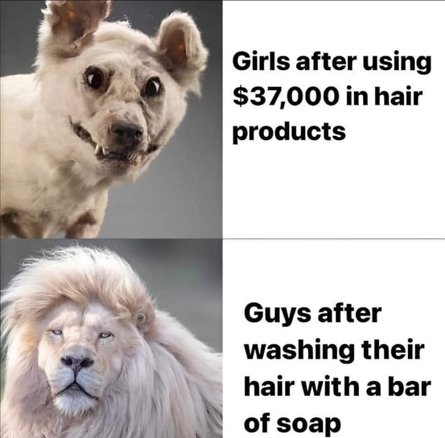 G0RKygwWgAAlR4q