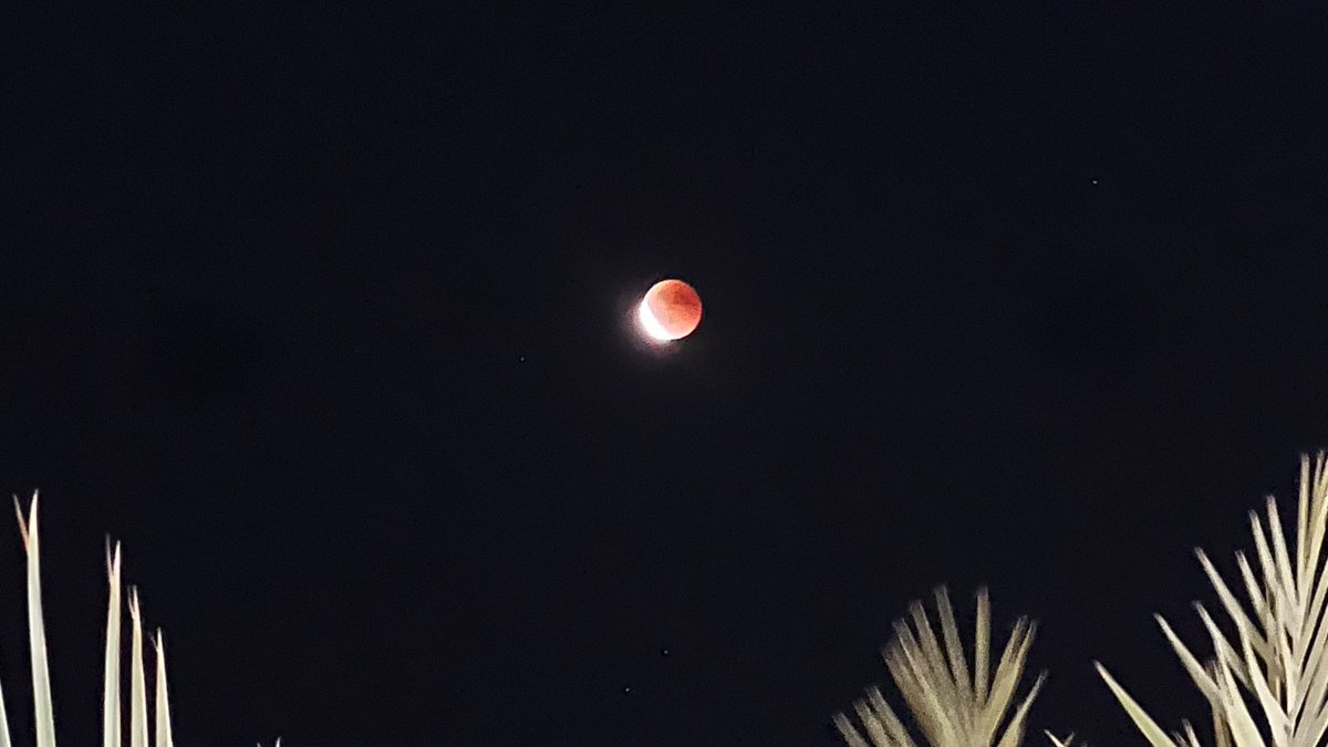 r (@moonittself) on Twitter photo 