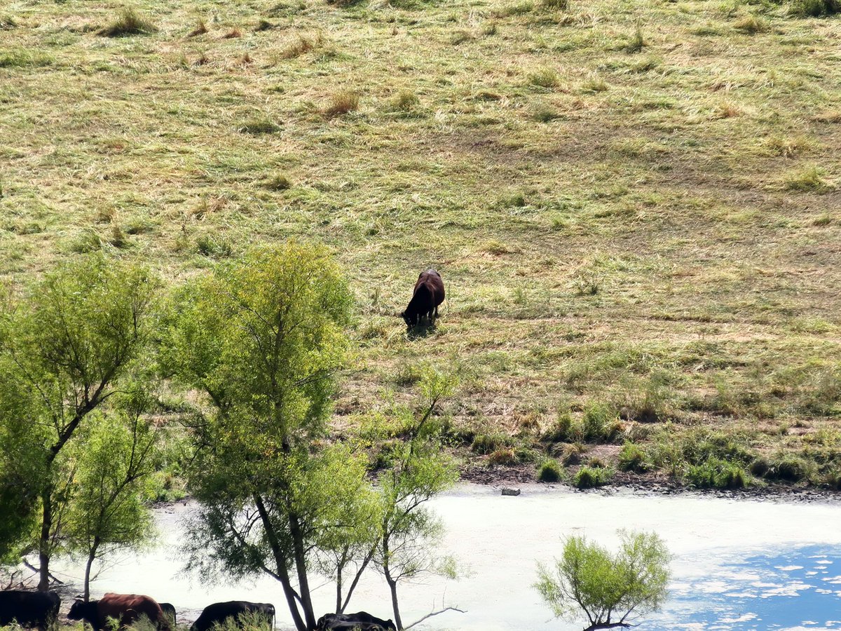 Chad E. Colby tweet media