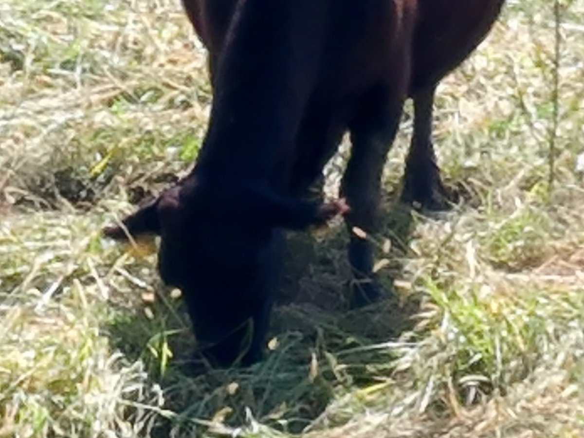 Chad E. Colby tweet media