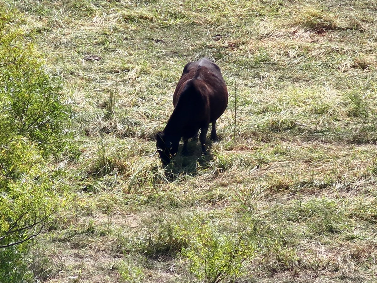 Chad E. Colby tweet media