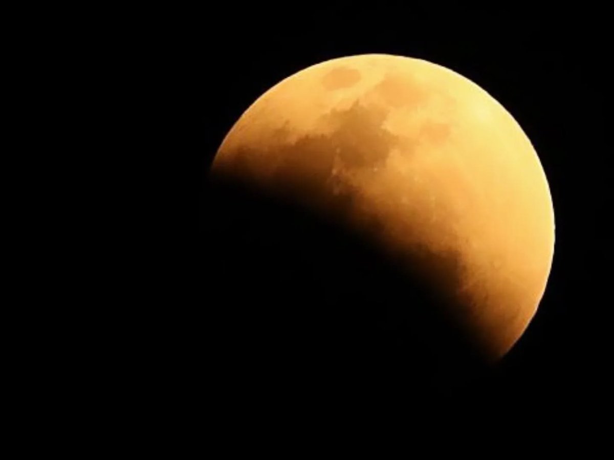 Robin Pope Safaris tweet media