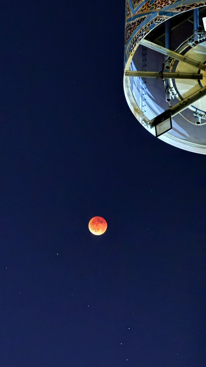 ﮼محمد ﮼الجعيد tweet media