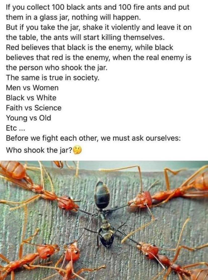 💯