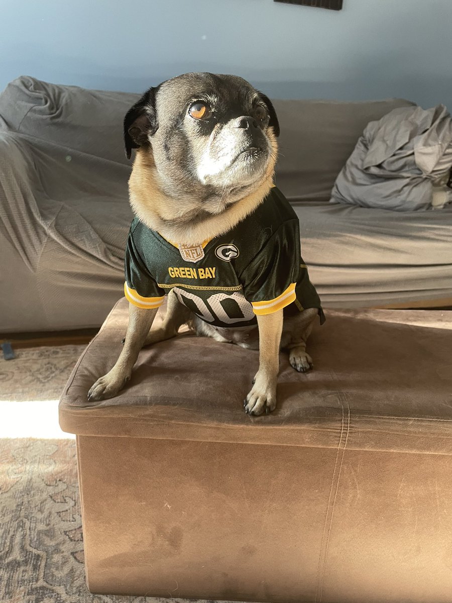 MeganMuscat's tweet photo. #WinniePug &amp; I are ready to Go for the @packers Season Opener! #GoPackGo 💚💛🏈🧀🏈 https://t.co/EGBjH7okPN