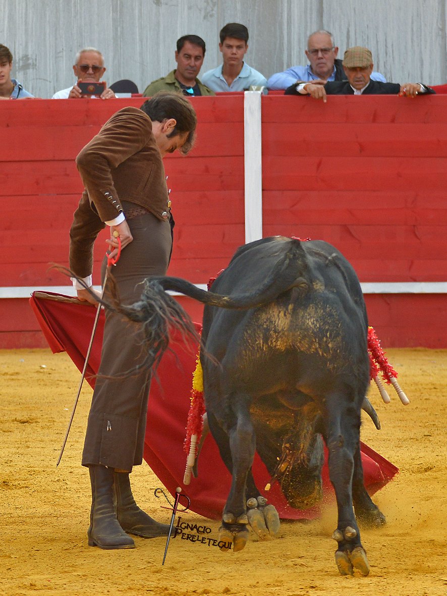 ignacio perelétegui tweet media