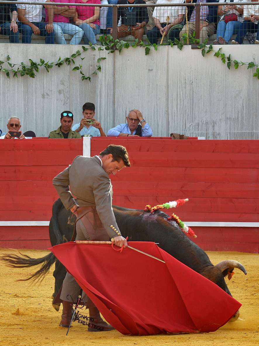 ignacio perelétegui tweet media