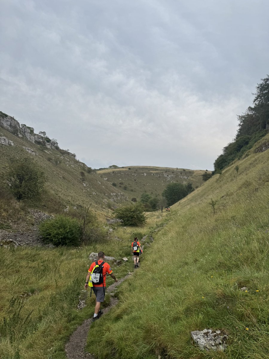 Daniel Walton tweet media