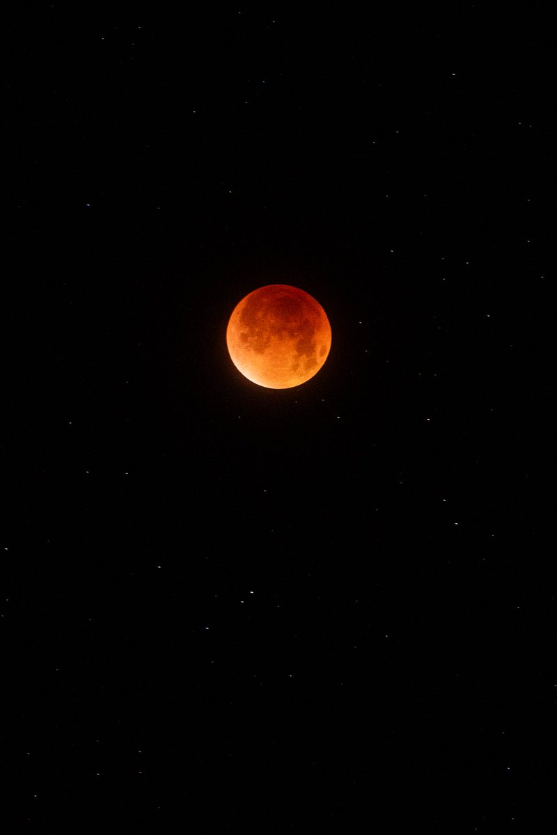 lilphoenix___'s tweet photo. The Lunar eclipse (Blood Moon) https://t.co/IGlCX7TXLH