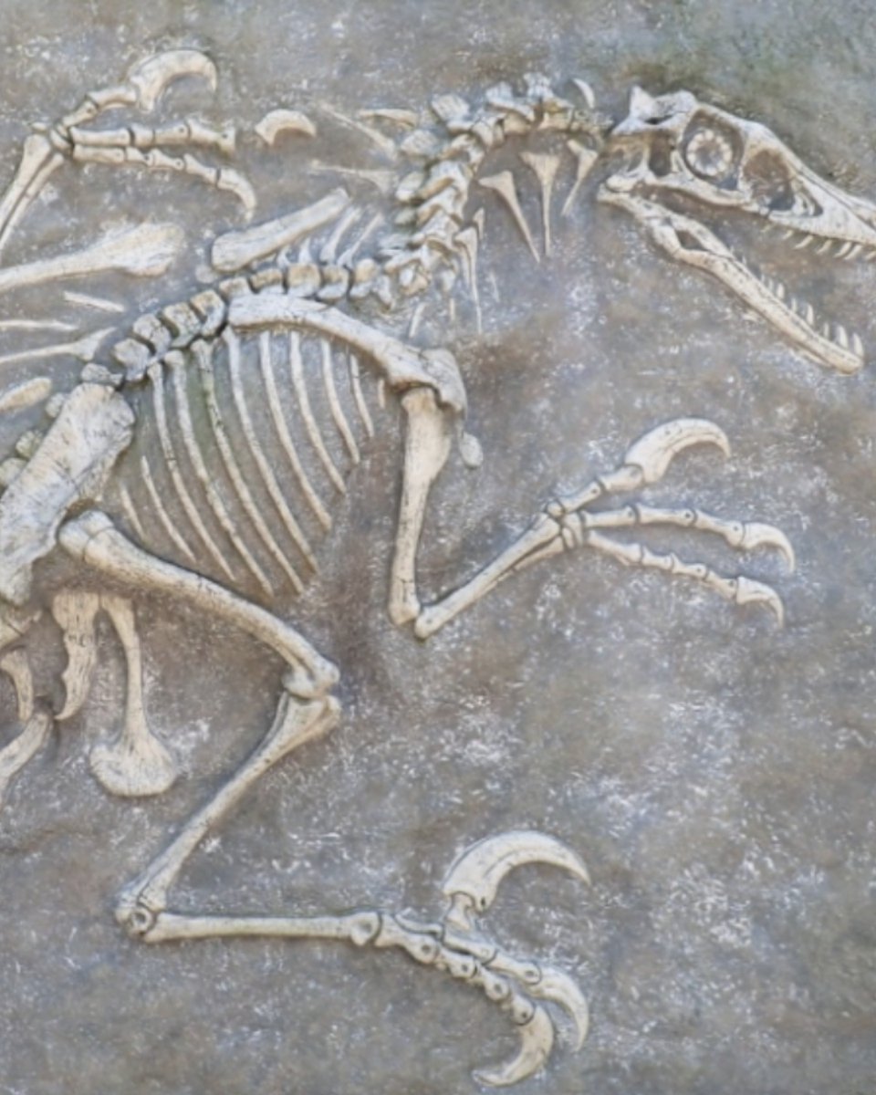 8 Must-Watch Badger Talks 🎥
Thanks to <a href="/UWMadison/">UW–Madison</a> and its commitment to the Wisconsin Idea, Badger Talks brings remarkable insights directly to communities across the state.

Learn more now: bit.ly/4nzHflp