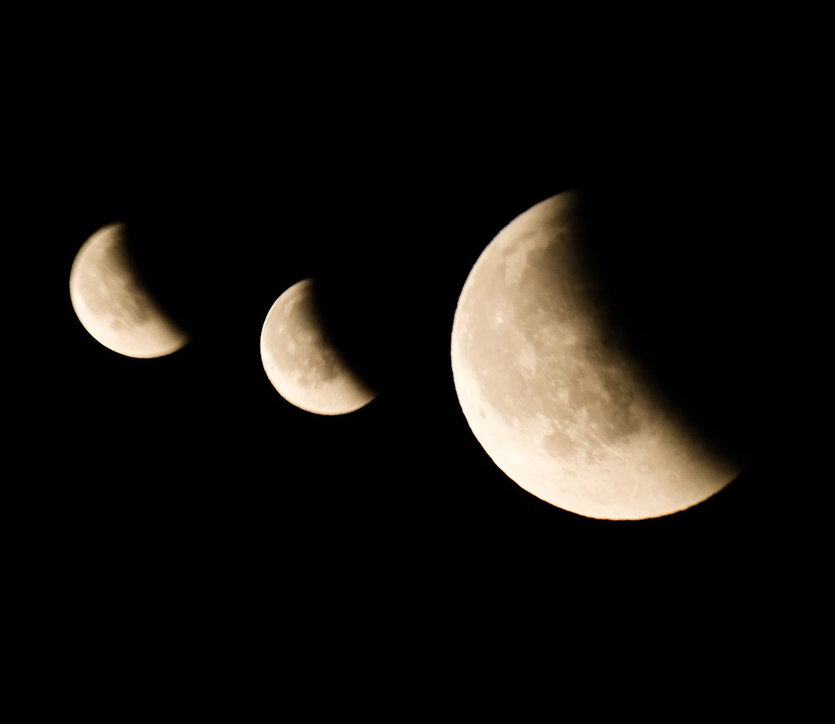 Dodgy focus bracketing handheld this evening. Lazy photography!