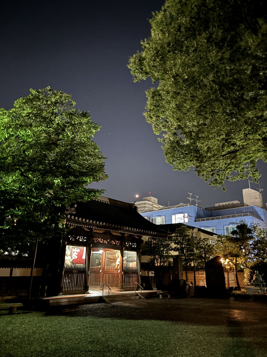 今朝は

26.5度のまた熱帯夜でした

3年に1度の皆既月食が快晴の空で見れました

しみじみ見たのは初めて？