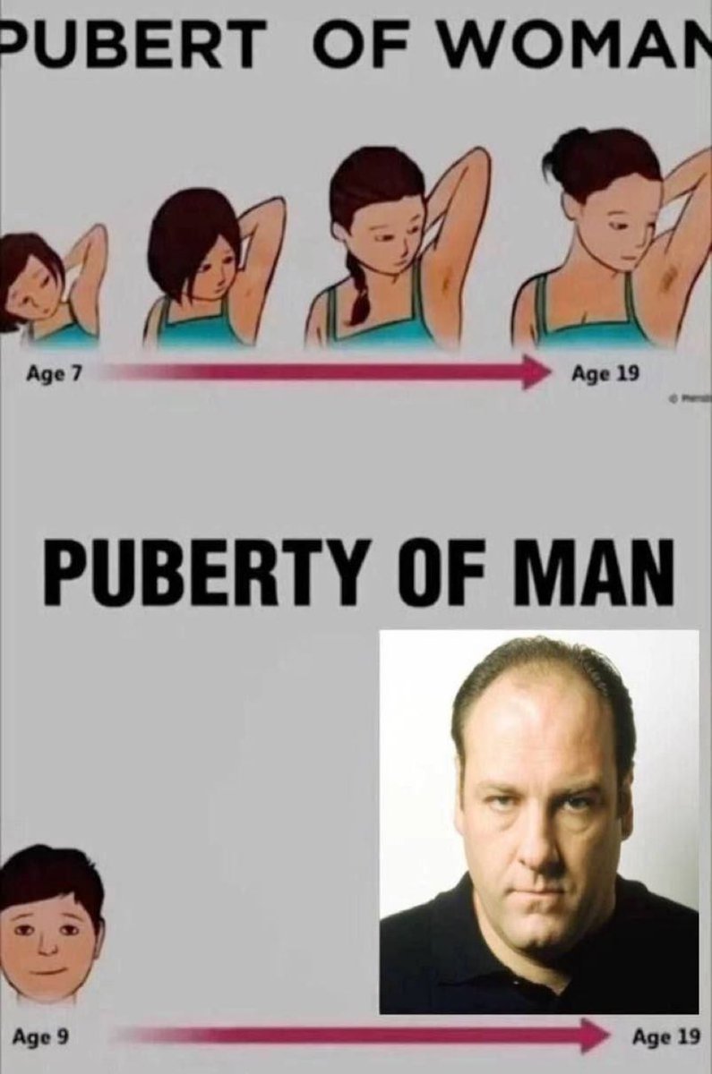 Daily Memes (@thedailymemes_) on Twitter photo 