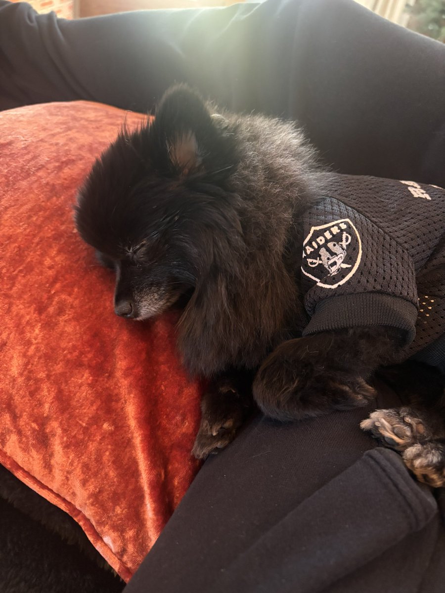This is how we are sleeping after a <a href="/Raiders/">Las Vegas Raiders</a> win! #raidernation #justwinbaby