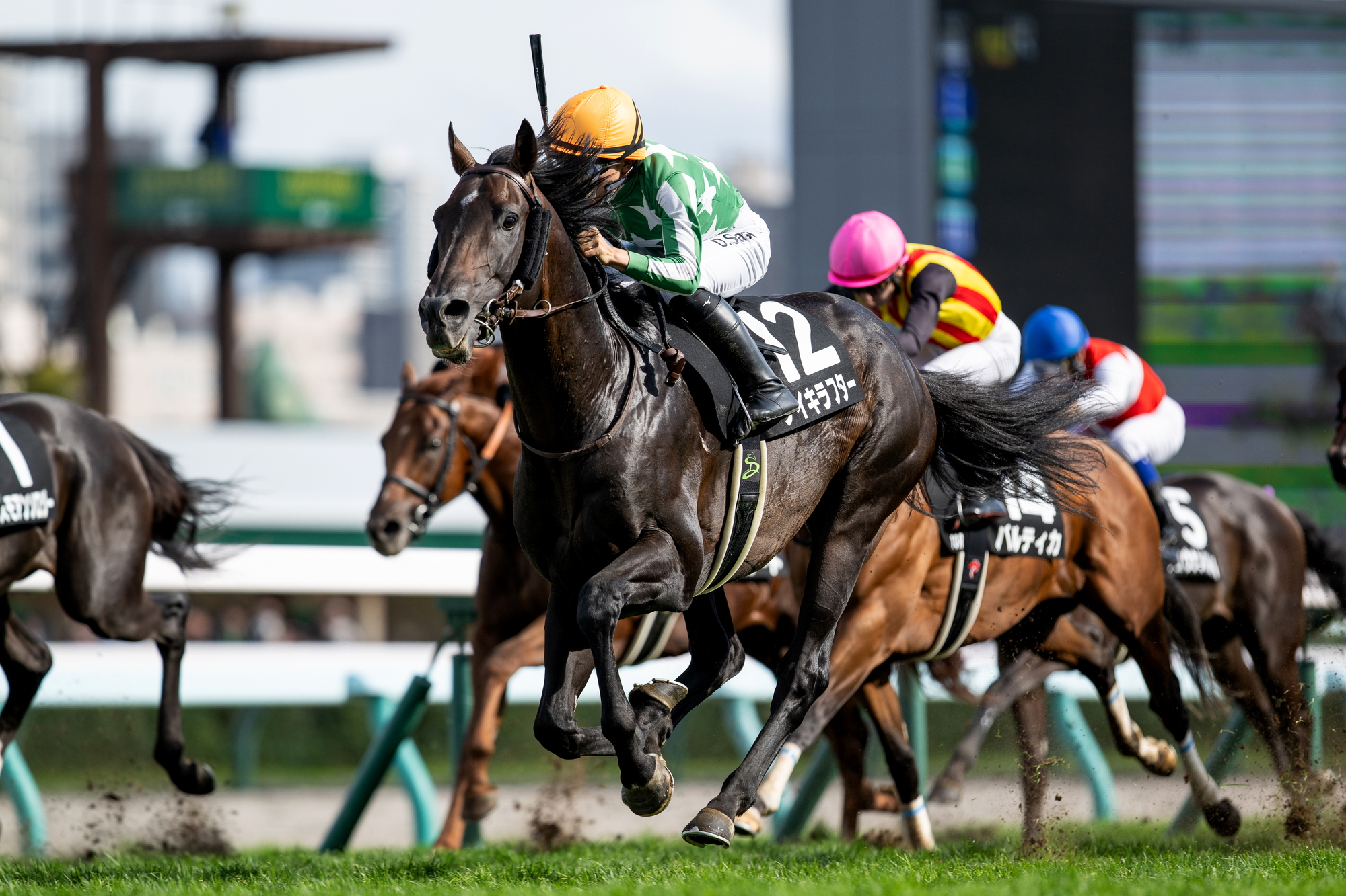 横浜高校練習着ダークネイビー REWARD 横浜高校練習着ダーク