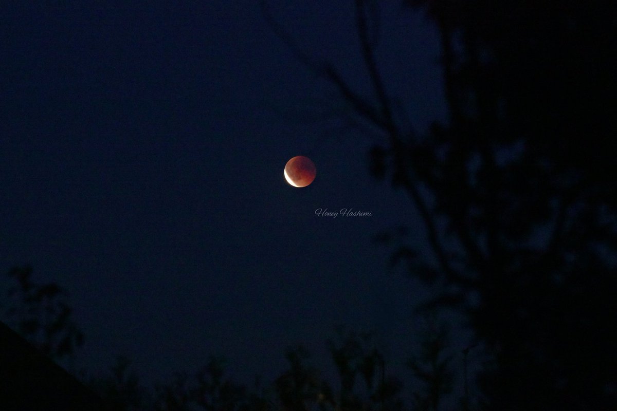 HoneyHashemi's tweet photo. 🌕✨ Greetings from the Netherlands under the mystical Blood Moon and total lunar eclipse tonight ♡ https://t.co/AWgNfghQ7c