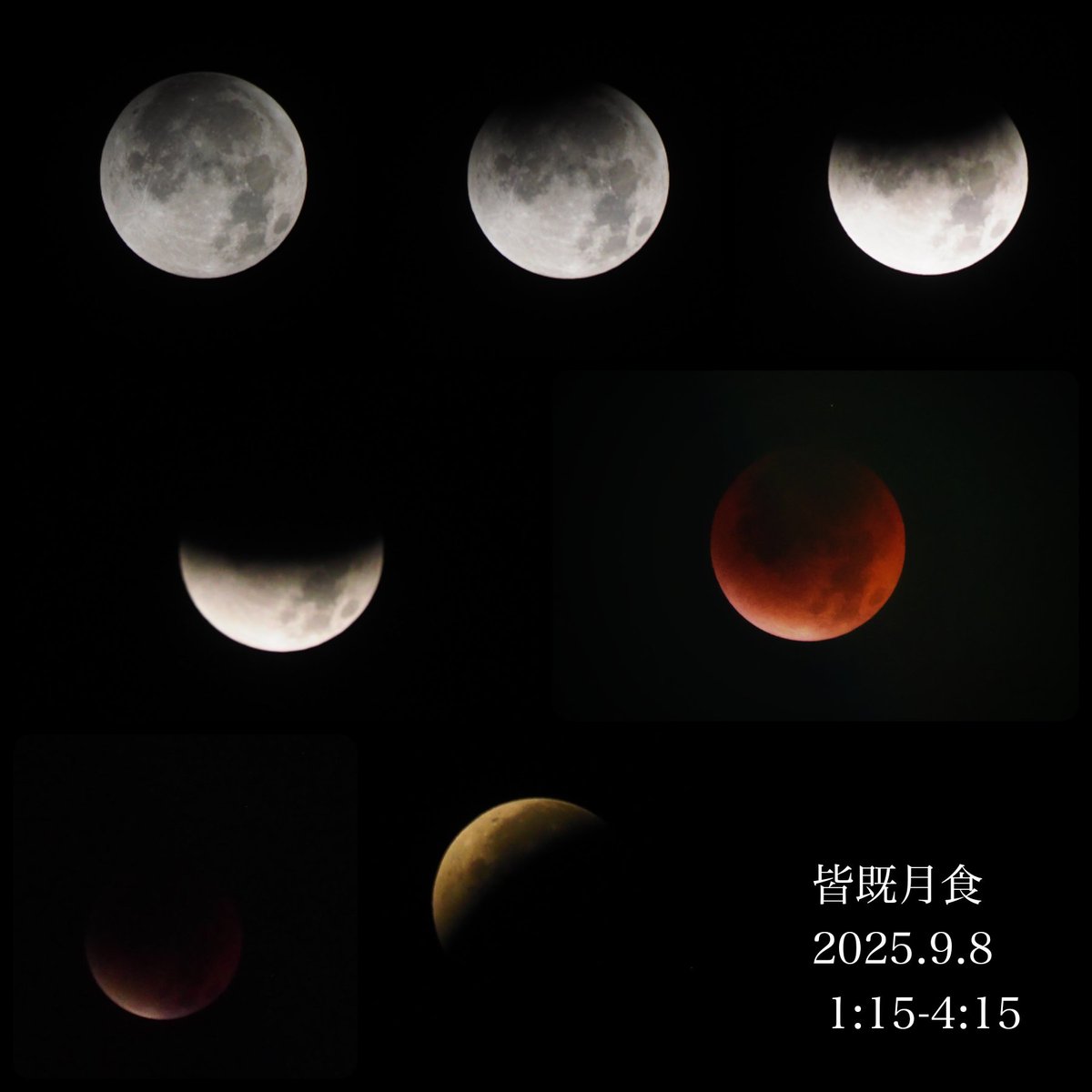 thankyoueveryon's tweet image. 🌕️皆既月食　2025.9.8
都会の狭い空の下、建物の隙間から撮れた分🌝

#月食 #月蝕