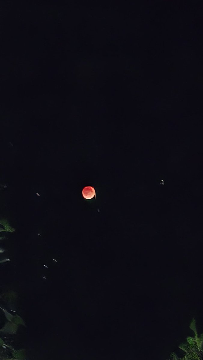 The_North_Blood's tweet image. Tonight the sky bleeds beauty.
Blood Moon🌕
#Gilgit 💫