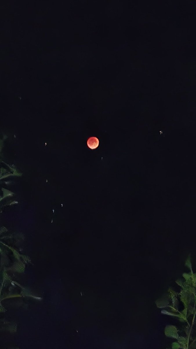 The_North_Blood's tweet image. Tonight the sky bleeds beauty.
Blood Moon🌕
#Gilgit 💫