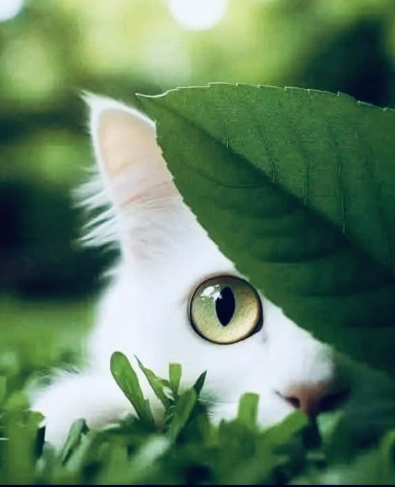 يهذبك الضيق حتى لا تمر على لحظات الرضا مرررررة ثانية مرور عابر ..

🌱