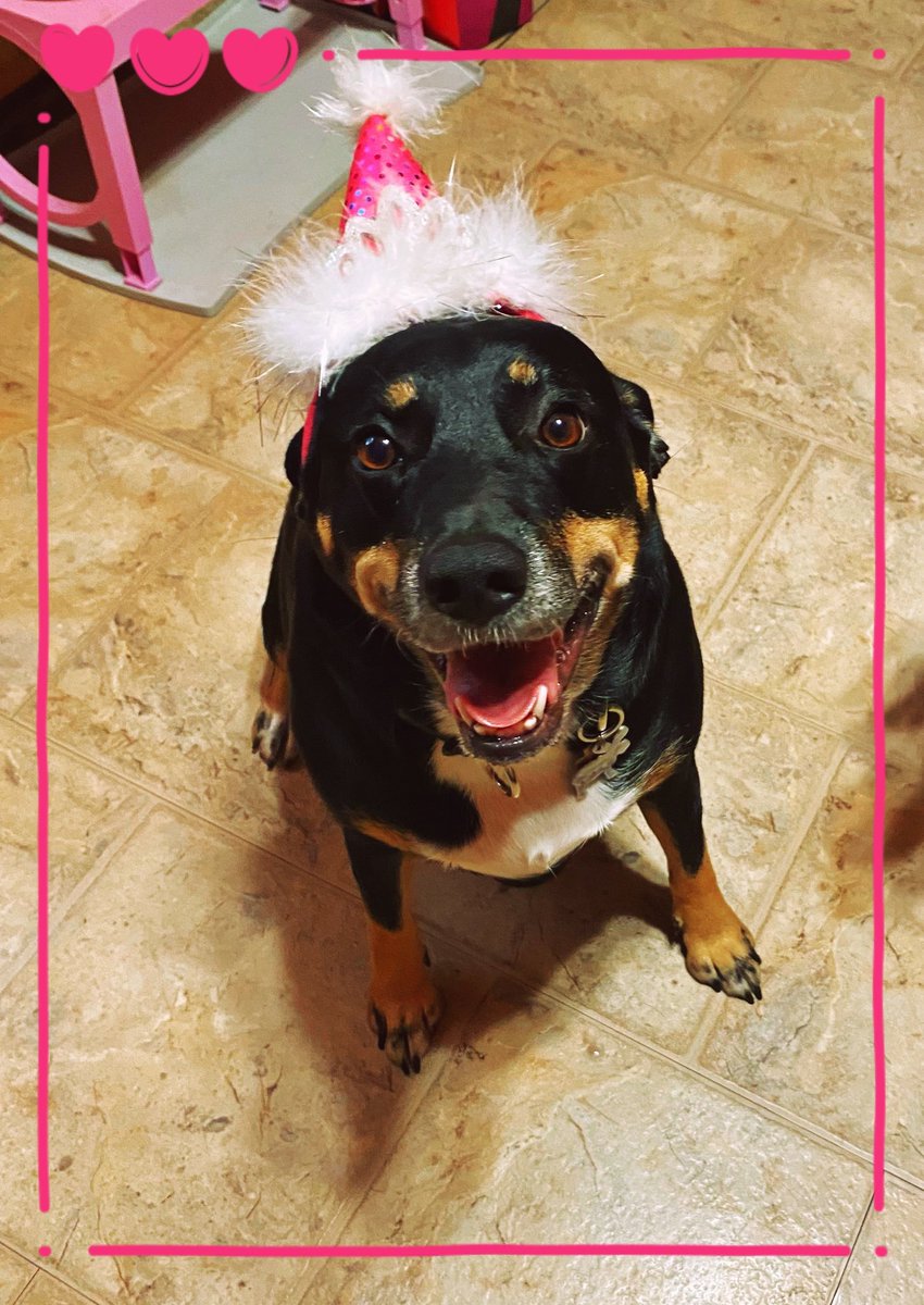 M00SlEE's tweet photo. 🥰 Practicing for my birthday pictures for tomorrow!! 🥳

-🍪🍪🍪-  🫎Moose 🐾 https://t.co/XcDCE38VGA