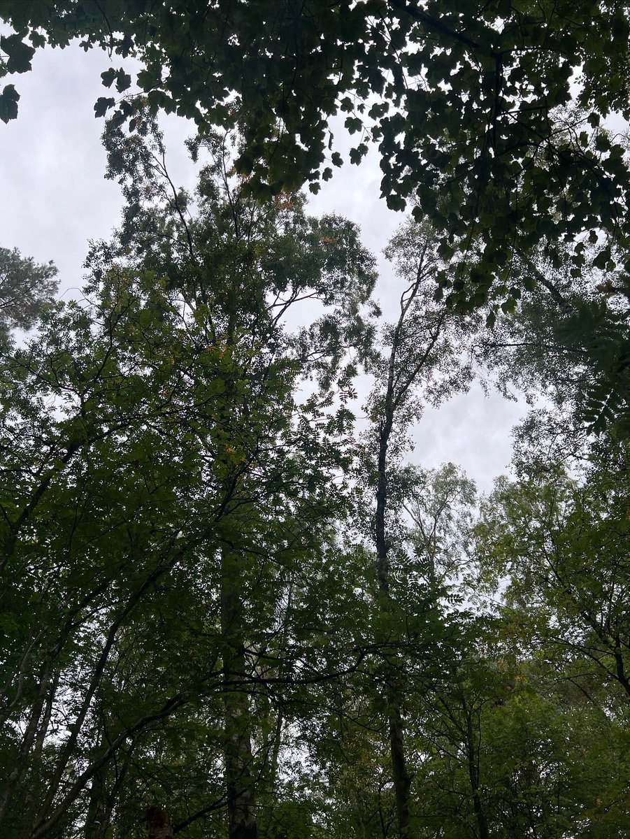 Robyn Elliot tweet media