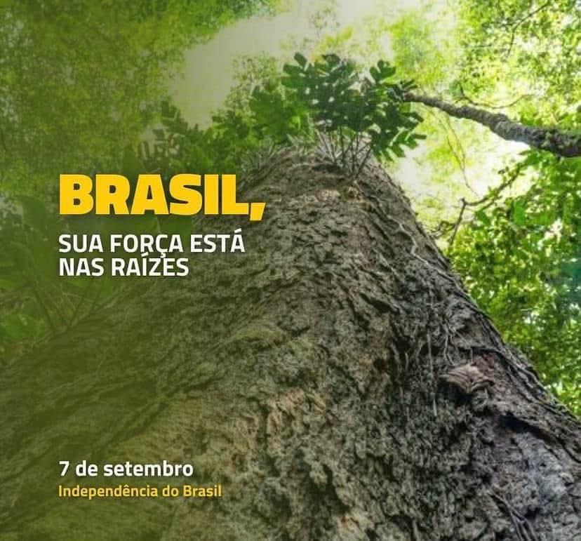 projetolixotec's tweet image. 