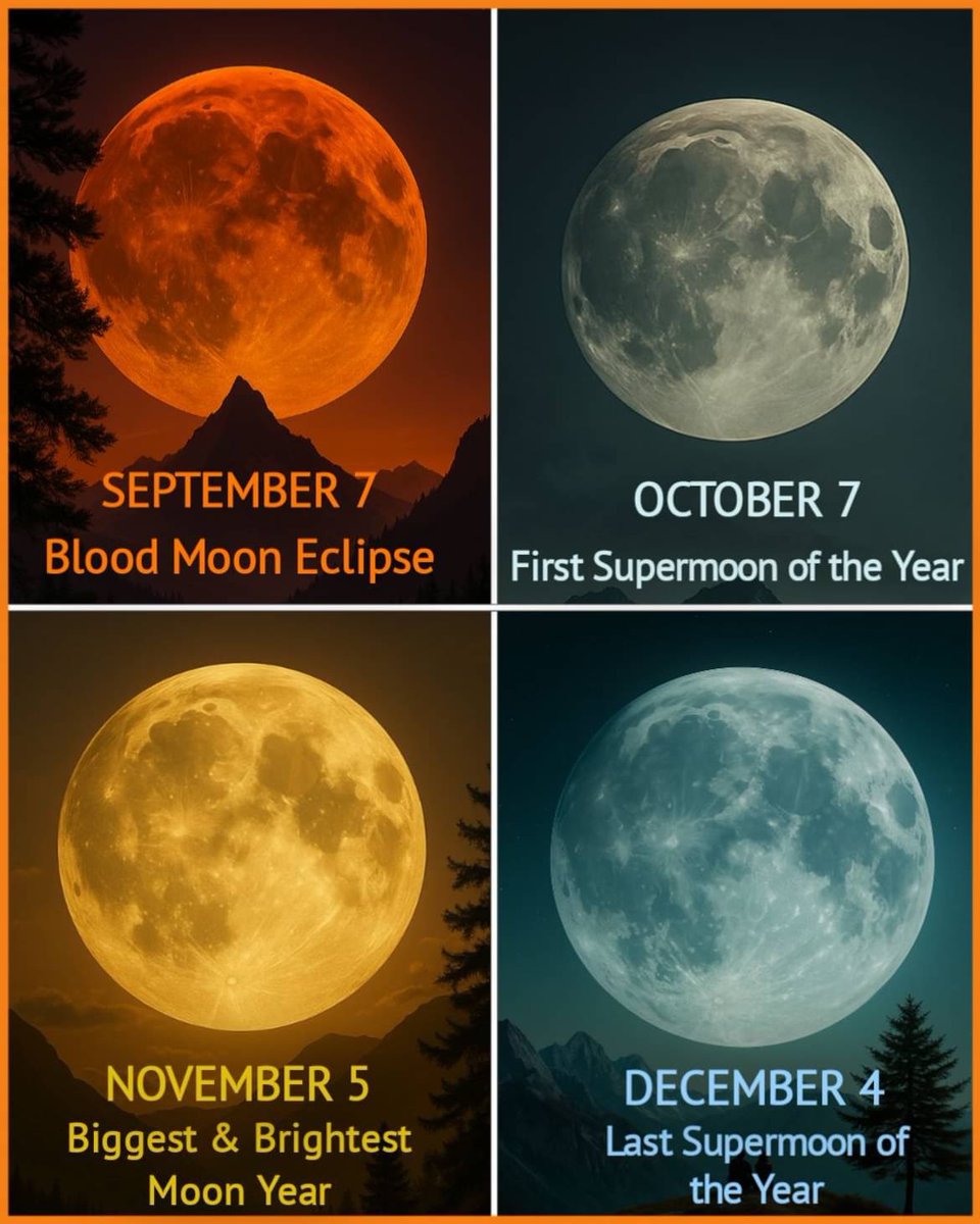 Atomic Punk (@lotus16) on Twitter photo 