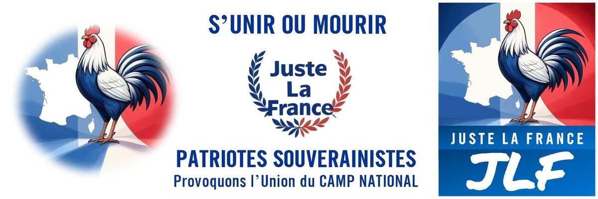 Aujourd’hui en France, consulter un site jihadiste n’est pas puni. Mais glorifier le terrorisme en ligne, c’est jusqu’à 7 ans de prison et 100 000 € d’amende. La complaisance existe, la fermeté manque.

Le programme EJL-Citoyens veut y remédier : la consultation régulière de