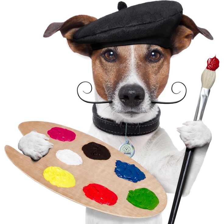 let 土 𝗖𝗢𝗠𝗠𝗦 𝗖𝗟𝗢𝗦𝗘𝗗 tweet media