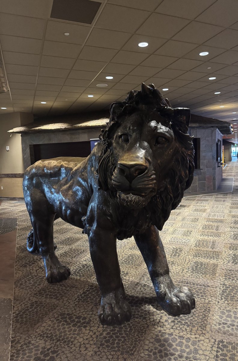 Driving back from riptide. Was a super fun time. Did decent overall in both crews and singles so I’m content with my play as well.