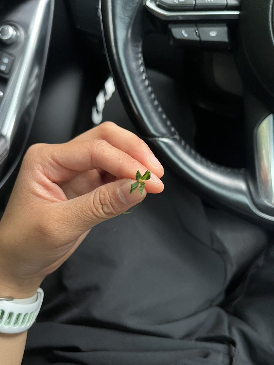 it didn’t really survive the day but the people should get to know it was real 🍀❤️