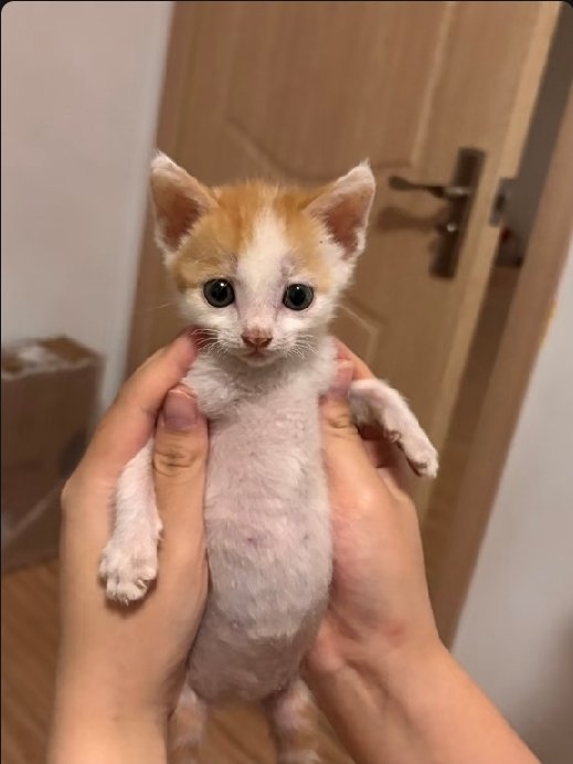 Local chud goes ghost hunting