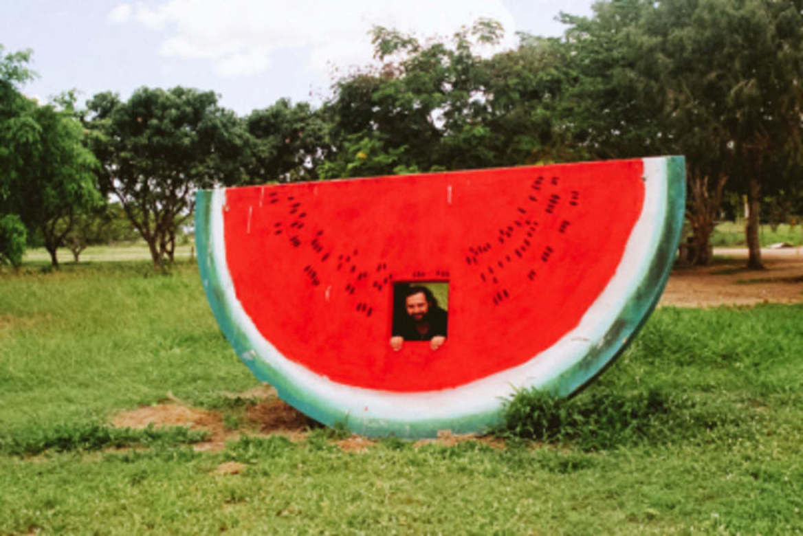 Peter Murphy tweet media