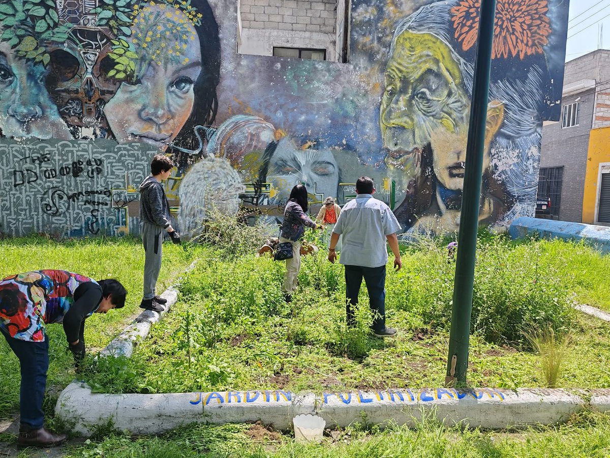 arboles_puebla's tweet photo. Hoy tuvimos jornada de deshierbe en el #JardíndePolinizadores del #ParqueJerusalem.
Gracias a Paty, Carlo, Sra. Evelia, Míriam y los Doctores Adriana y Christian por ayudarnos a mantener este espacio.
Con Casa Analco, Mujeres Construyendo Barrio y @periferiaverde https://t.co/X35raUHSae