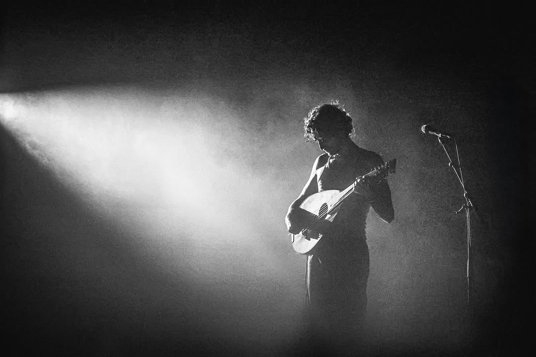 tamino daily tweet media