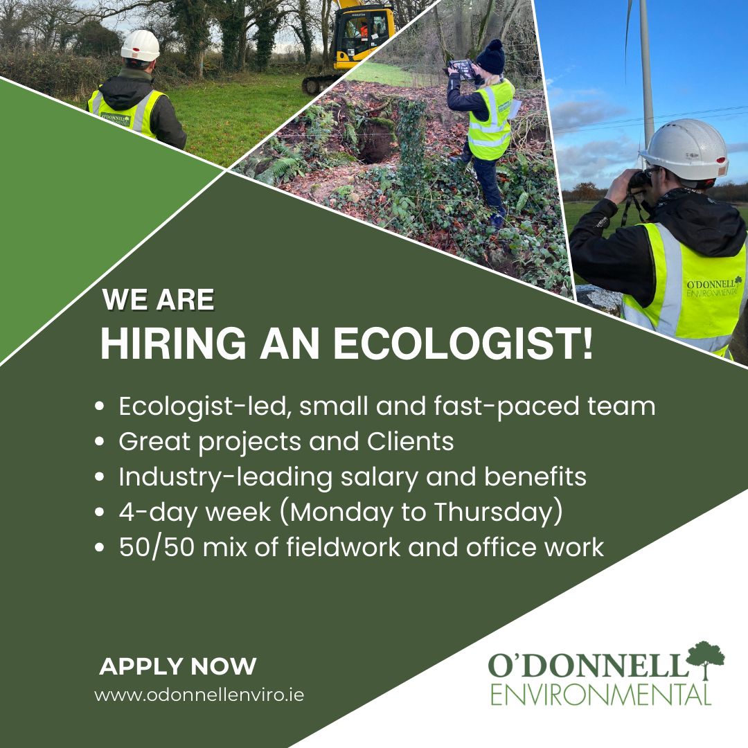 O'Donnell Environmental Ltd. is hiring an Ecologist / Senior Ecologist. They're looking for someone with a strong skillset in habitat and botanical survey to join their Cork-based team. To apply, please send a CV and cover letter to info@odonnellenviro.ie