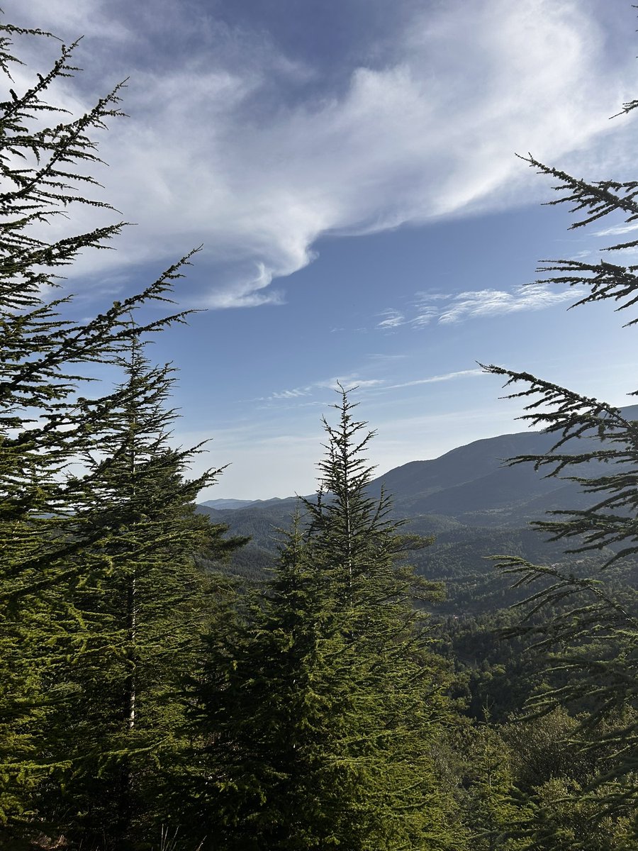 melschu (@schurermelanie) on Twitter photo 