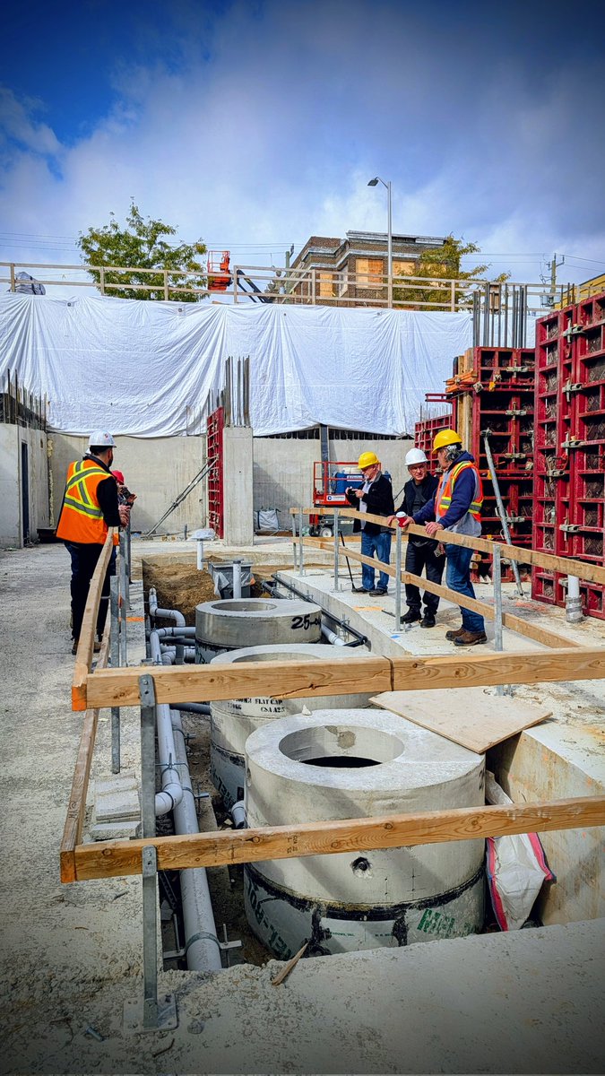 Scott Andrew Collyer tweet media