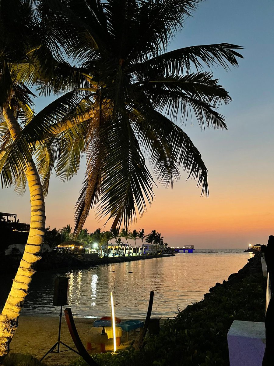 Adel Alharbi tweet media