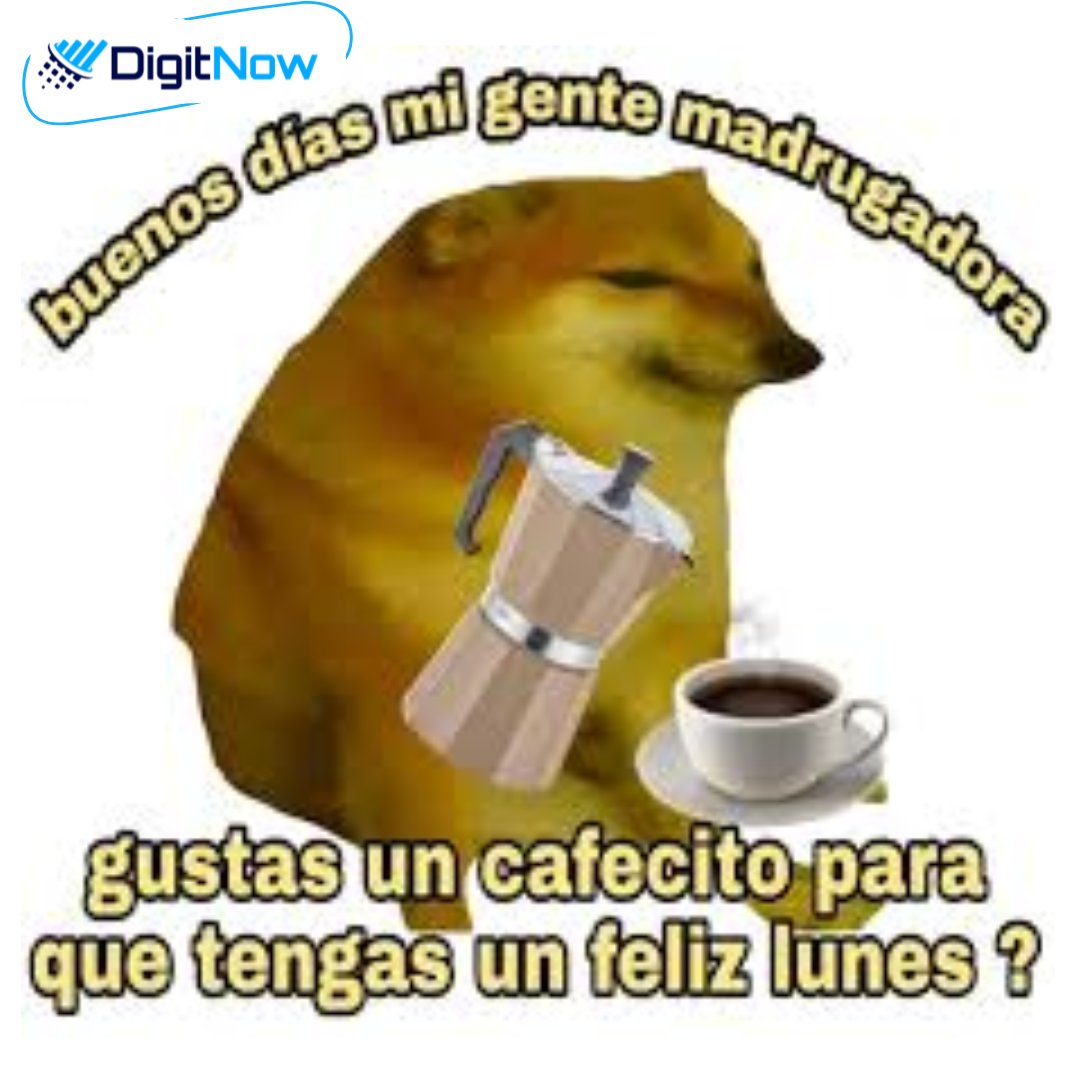 DigitNowMexico's tweet image. ¡Bienvenido el lunes, mi gente madrugadora y trabajadora! ⏰💼
Que no falte el café ☕ ni las ganas de romperla esta semana.
Vamos con todo 🚀🔥
#DigitNow #ModoLunes #Productividad