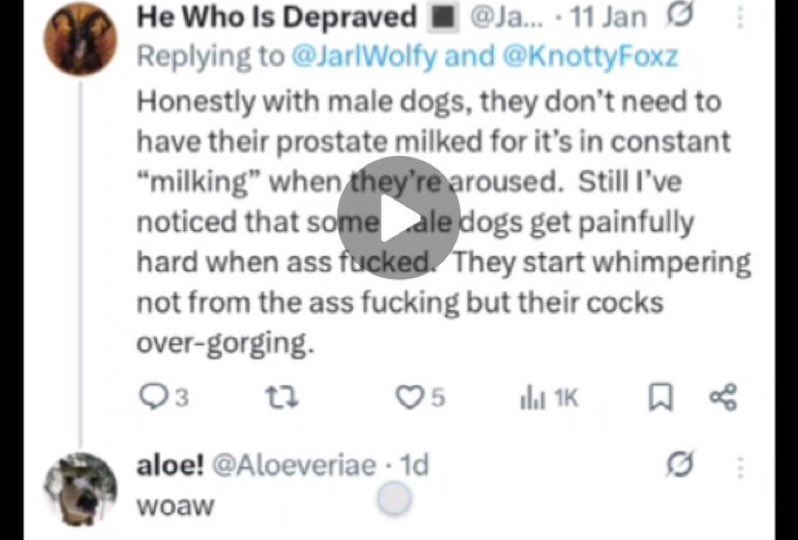 PedoZooAlert's tweet photo. Ever wonder why Aloe is asking for literal zoosadist content? This pic explains why. Anti abuse my ass. https://t.co/fkGtI3cst2