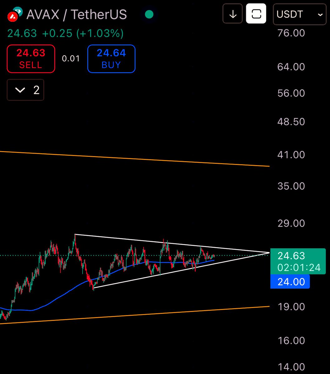 you call it delulu 

i call it conviction 

$AVAX is about to pump hard