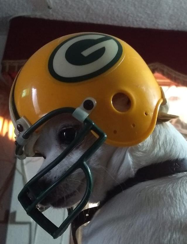 #foximpactonfl
#GoPackGo 🔥