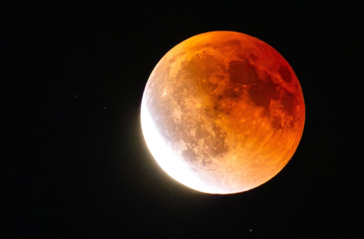 Ronny Weiß tweet media