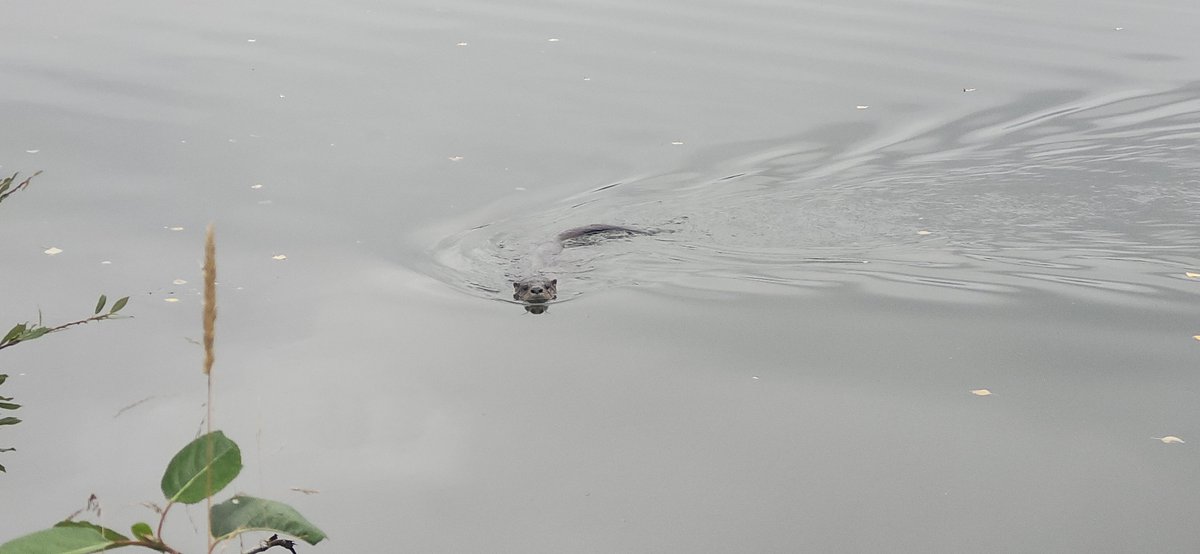 JayRockFurler's tweet photo. @stalinsghost2 and getting attacked by a Beaver 😁 https://t.co/6XFw9y3pco