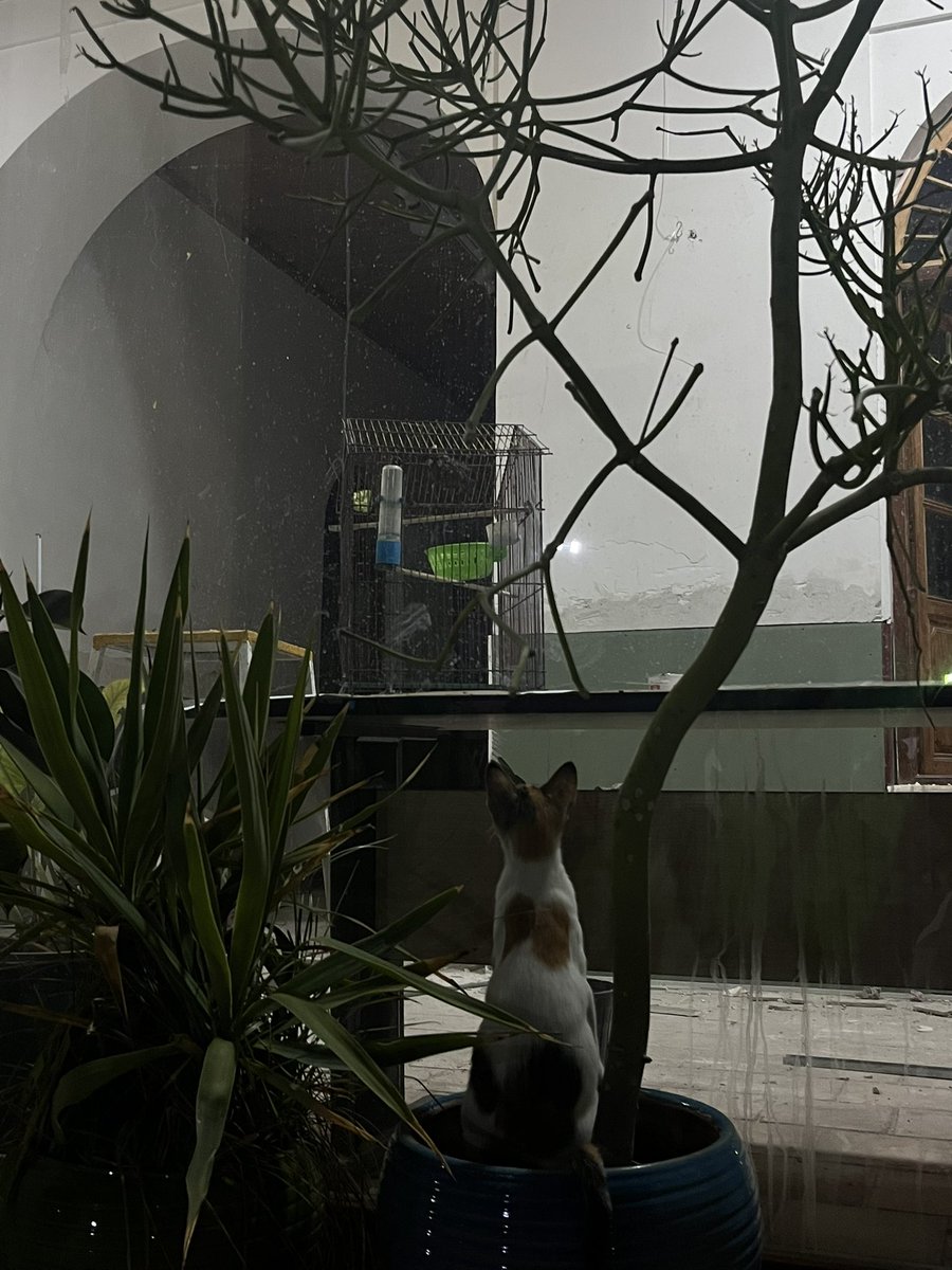 غذای توی ویترین🐧