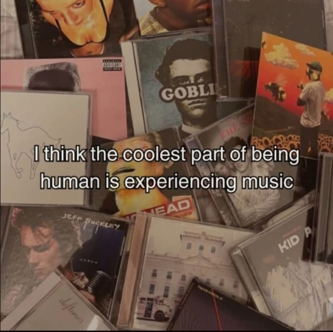 whotfisjovana's tweet image. I love it so much